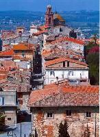 Vista del borgo dalla torre del castello